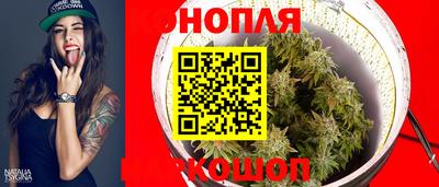 стафф Волгодонск