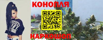 крисы Волжск