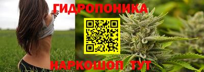 стафф Волгодонск