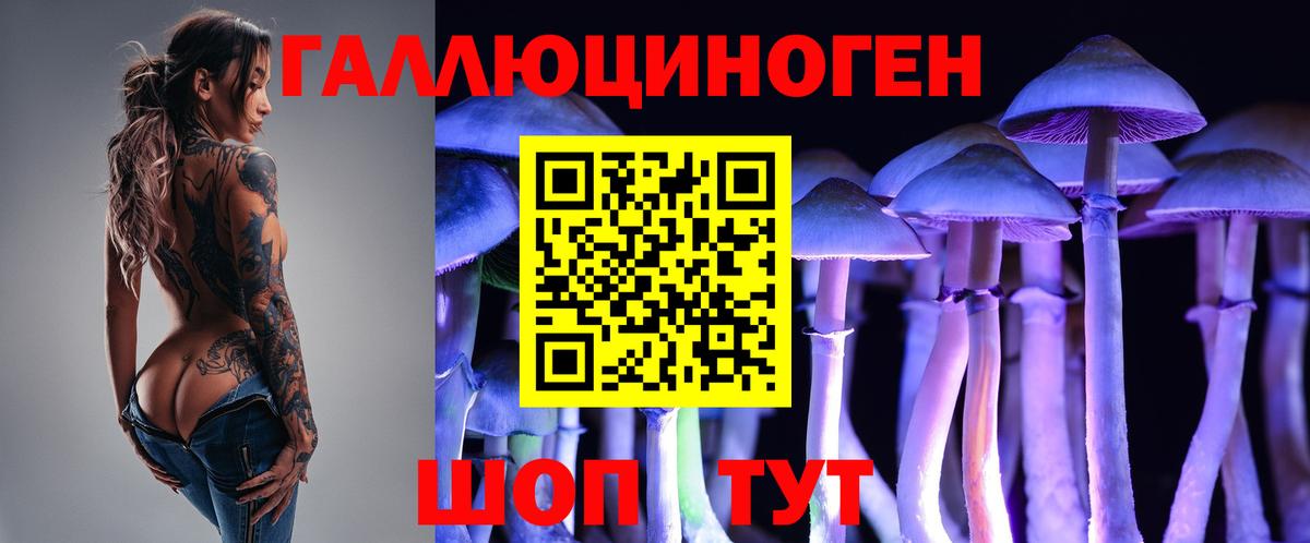 Галлюциногенные грибы прущие грибы Нарьян-Мар
