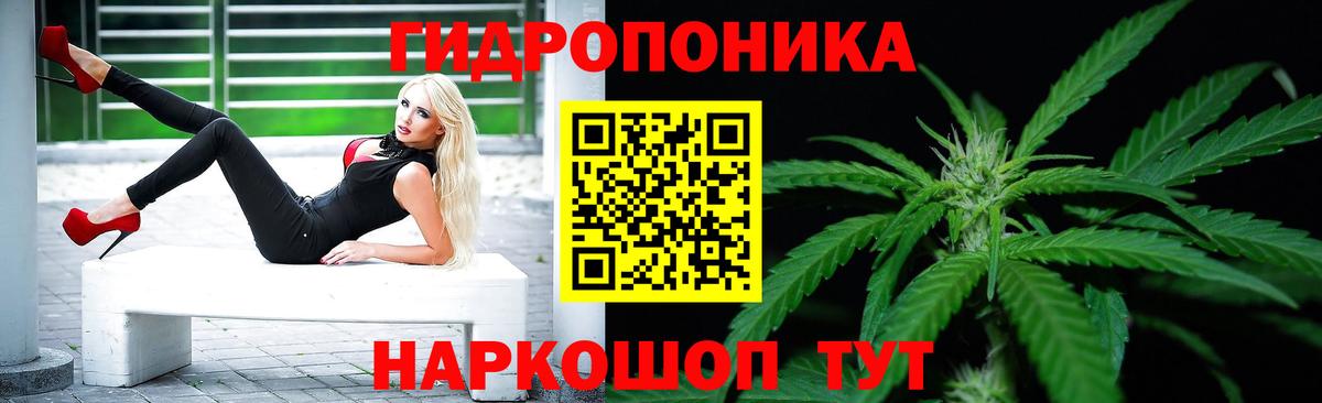 Каннабис сатива Нарьян-Мар